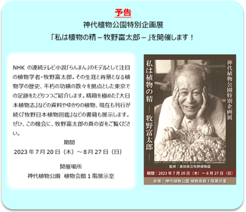 RJ0GWjttg8HykAeC7bVu.png?w=940&h=940