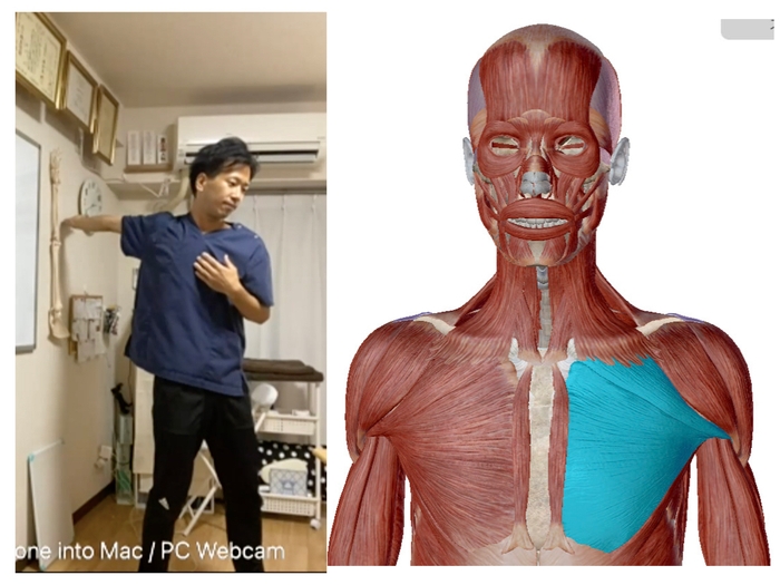 (セミナーの様子:肩のストレッチ/大胸筋)