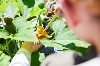 RJsCjMlUFdyA9Tx2vRcf.jpg?w=940&h=940