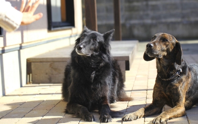 RLCevqsF8TO8PTWHJmKr.jpeg?w=940&h=940