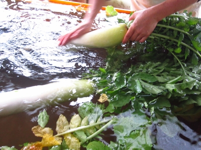 RMPPVbJDIajGsqaenWbB.jpg?w=940&h=940