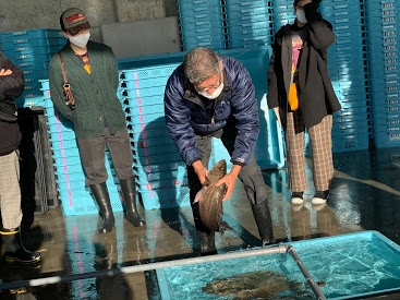 RNFr30vaYihM3or66zrC.jpg?w=940&h=940