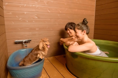 RNvjV4GkSFAsTp6JX5FT.jpg?w=940&h=940