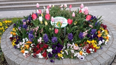 ROmJd0wvN9WuUBUUc1OV.jpg?w=940&h=940