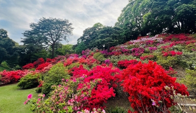 ROuoJeu79gt57xLq8K4X.jpg?w=940&h=940