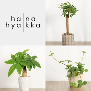 RPuTHb2DQVAzuXE0IABc.jpg?w=940&h=940