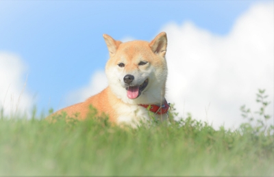 RQeK2Xw7q3Rm9jc9HhbA.jpeg?w=940&h=940