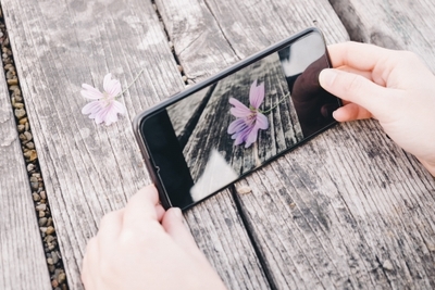 RQensKemfQ74sYp4XKtd.jpeg?w=940&h=940