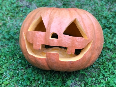 RReoJkbNXDQxneLAbsRL.jpg?w=940&h=940