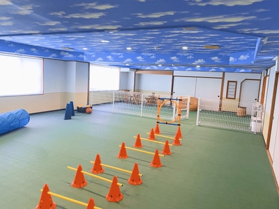 RRiHXyG36VUDuJxrBSdm.jpg?w=940&h=940