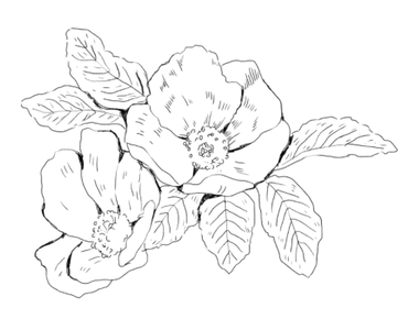 RT1GmDtFX22dIFEoYPGB.png?w=940&h=940