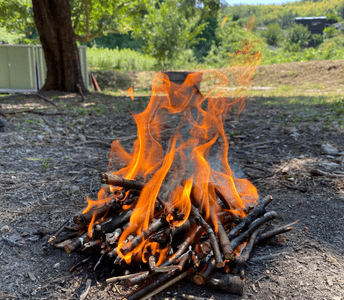 RUfH7tlMpK7ORNELz81F.png?w=940&h=940