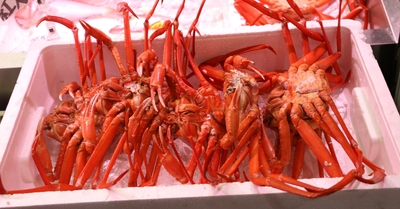 RVG7iBcNreUTnZfhQ3oL.jpg?w=940&h=940