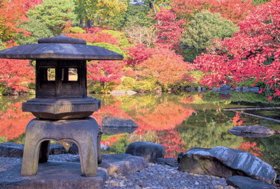 心字池の周りを彩る色とりどりの樹々