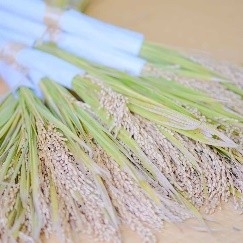 RViHJDzf8fStBqTAMhPl.jpeg?w=940&h=940