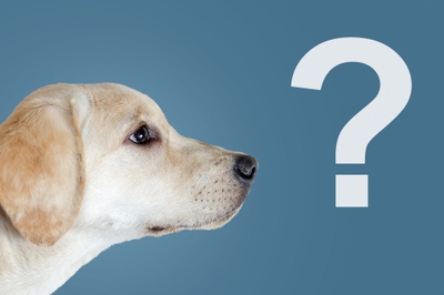 RZ79teodOIrfJ3yOVmNS.jpeg?w=940&h=940