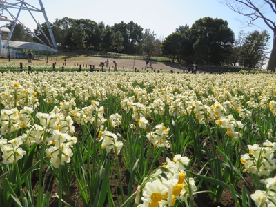 RZFloduWVfgSHPtxvxaa.jpg?w=940&h=940