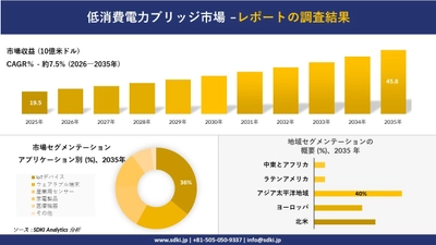 低消費電力ブリッジ市場の発展、傾向、需要、成長分析および予測2026－2035年