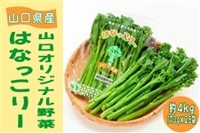 Ra2niL4ldAbBk9Z44iiP.jpg?w=940&h=940