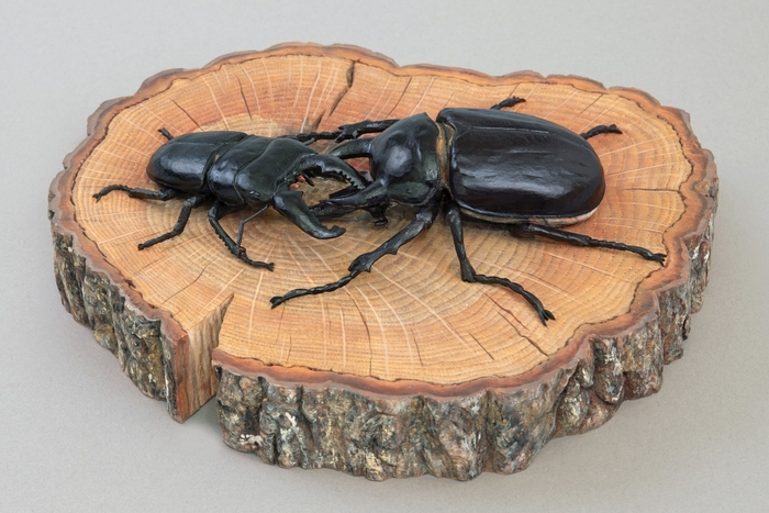 【2025年】 木彫アクティオンゾウカブトとスマトラオオヒラタクワガタ