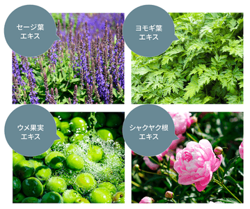 RcOWl9f4gjPsmEpIL4qH.png?w=940&h=940