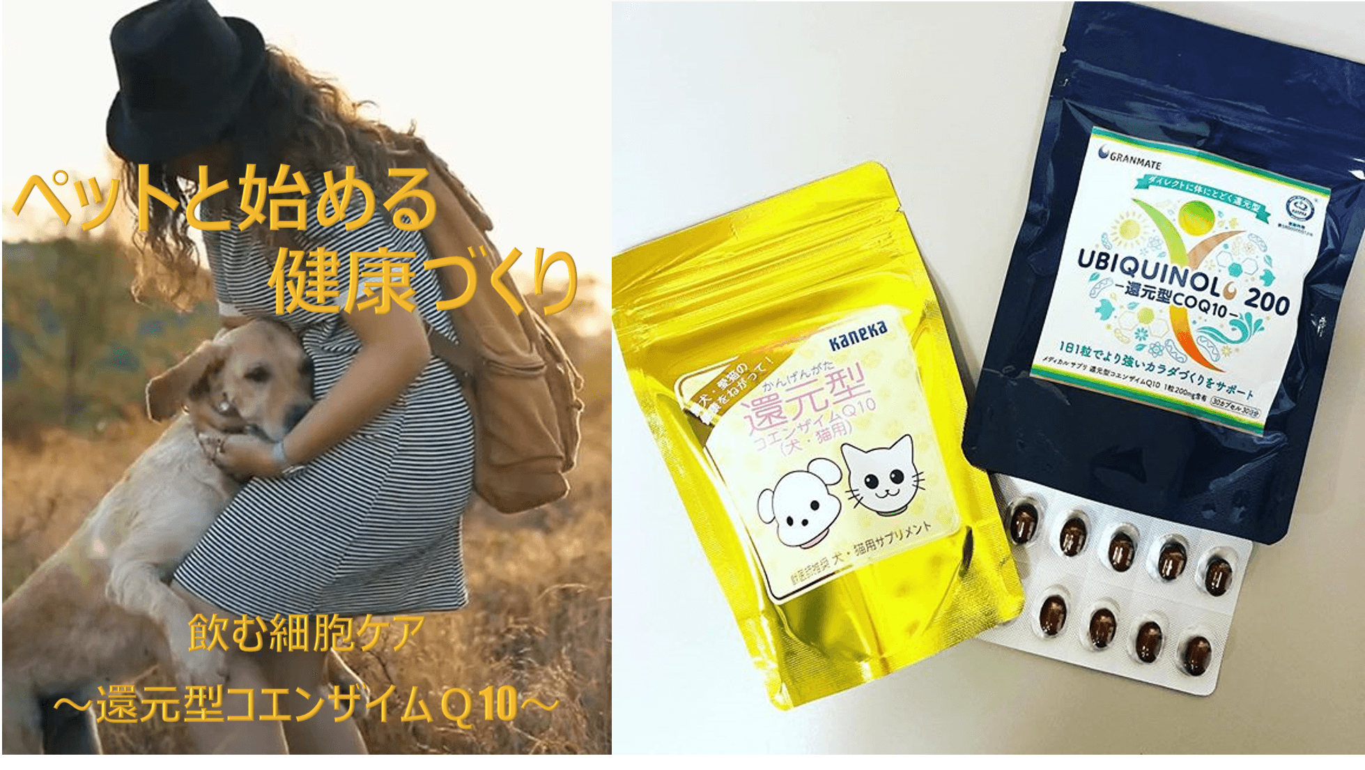 ペットと始める健康づくり『還元型コエンザイムQ10』