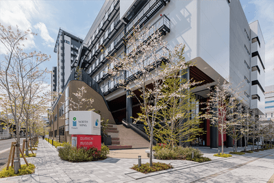 i-Mall NORTH WING 1 年目の桜