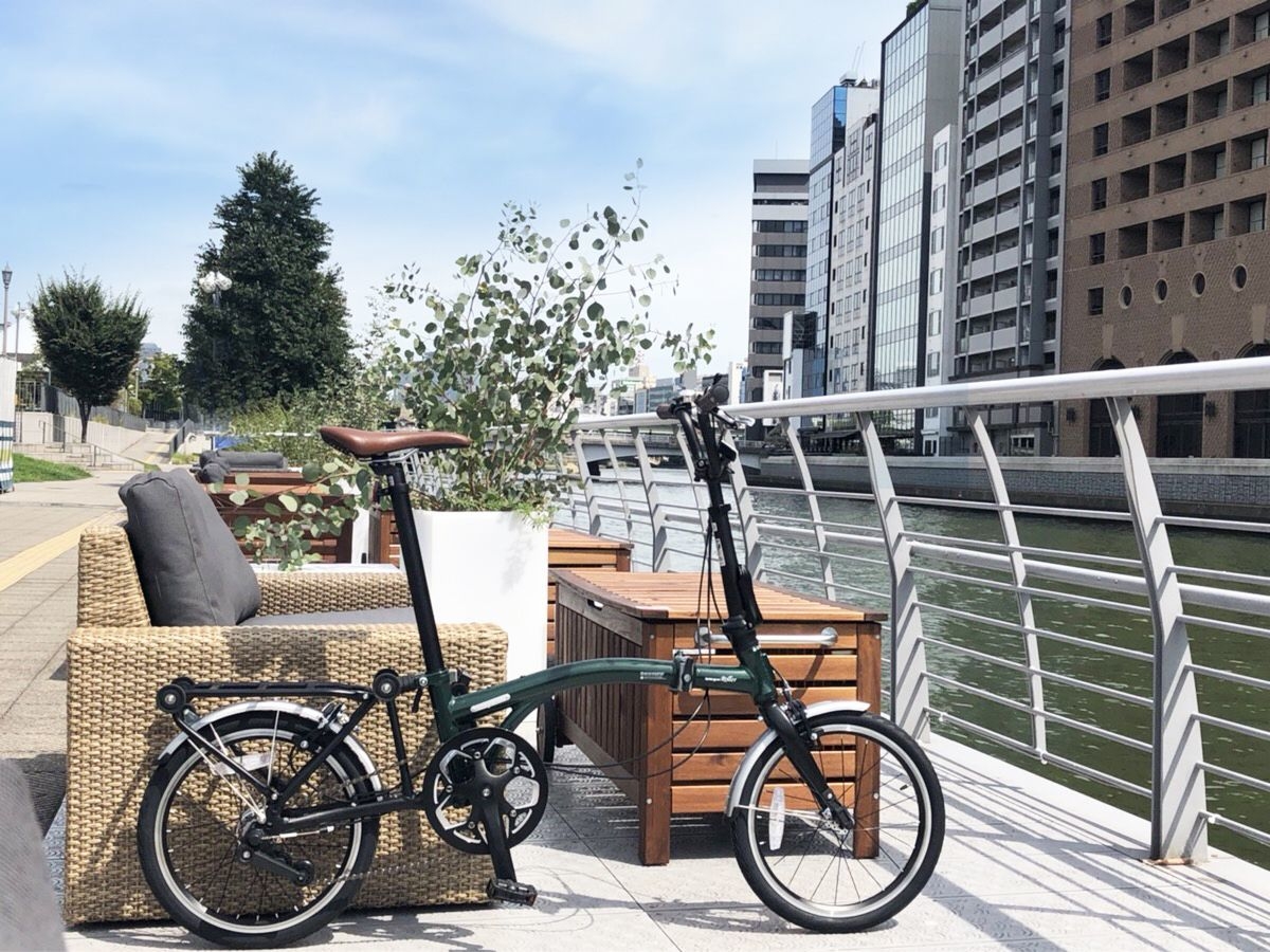 Harry Quinn Roller163イメージ画像(3)