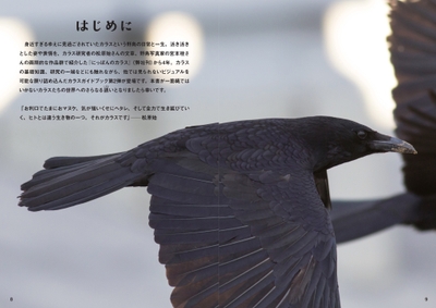 RgVLUd4GYDecr5Tk8pu7.jpg?w=940&h=940