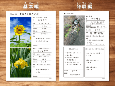 Rh8WHY99iBj9zUllqDOz.png?w=940&h=940