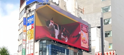 RhizbKBLrxp5Jv7ROPIl.jpeg?w=940&h=940