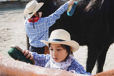 RhnKMQGsyhP7oOOM8DCb.jpg?w=940&h=940