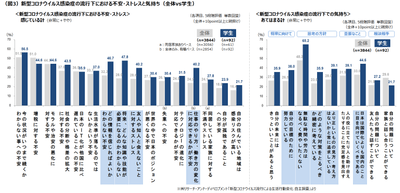 RhzOXoZTciA2muqH8iZE.png?w=940&h=940