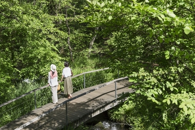 RiVXAJGplAxaahmcqGIb.jpg?w=940&h=940