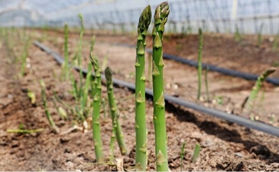 RjozReotySpFRxWQstDH.jpg?w=940&h=940