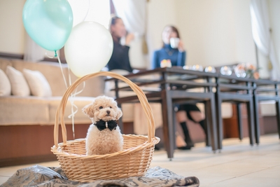 RkSKJBuuBtKH2ruR10jW.jpg?w=940&h=940