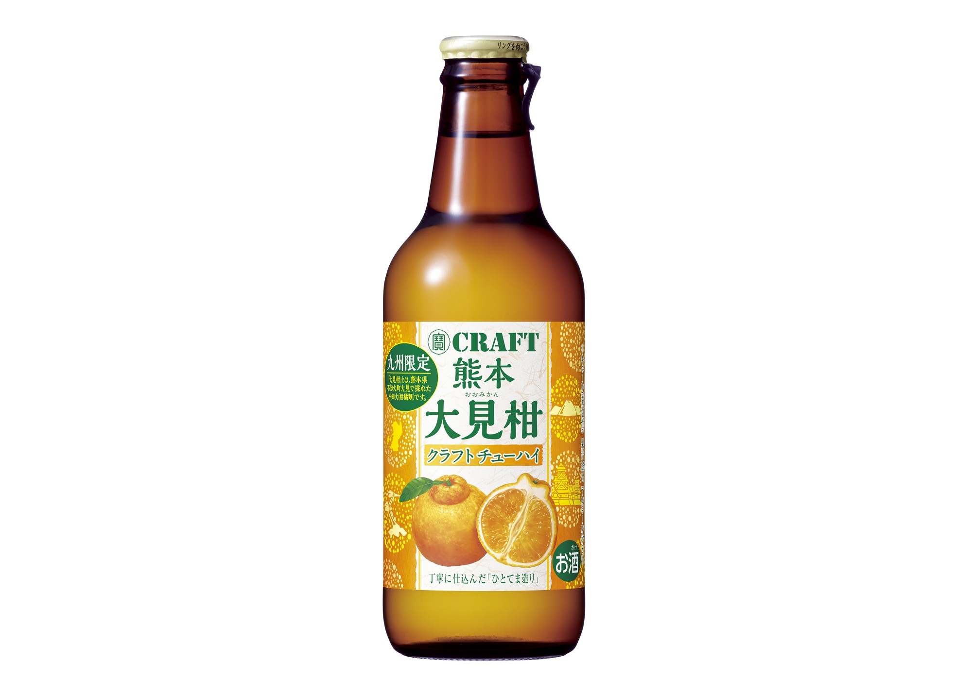 北海道産　ヤドリギ　親木付き　⑦ オレンジ色の実 ミスルトウ 6e81f98c5f19ab08d04669c1ac2ca5