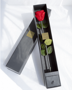 RlF8Ep7ycfFGqnTEZmMs.png?w=940&h=940