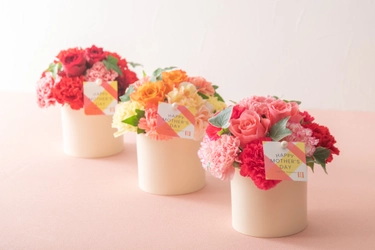 2024年の母の日フラワーギフト 日比谷花壇オンラインショッピングサイトで 2月26日（月）から受注開始しました。