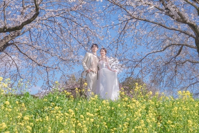 RlzNzPWs6Ct2ZzQyFq5c.jpg?w=940&h=940