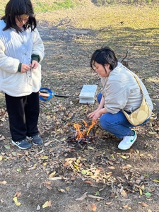 Rmqo59kHJe9YtQEvGK0w.jpg?w=940&h=940