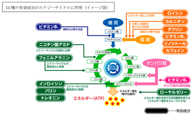 Rn3Mxkxx2TVEDt9XiLa9.png?w=940&h=940