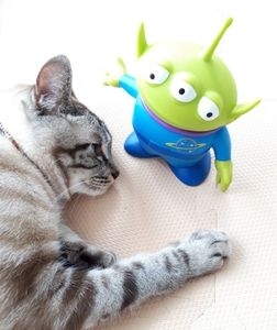 RnlLlKs4m9HE55DYsVqR.jpg?w=940&h=940