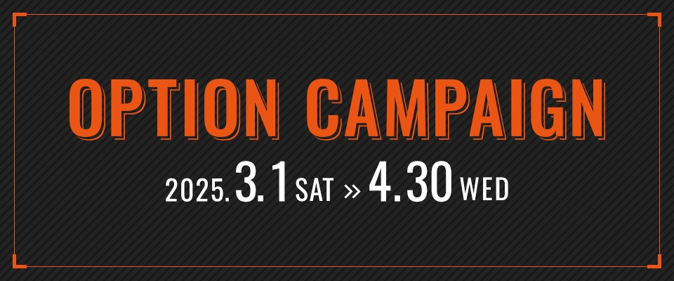 春のオプションキャンペーン