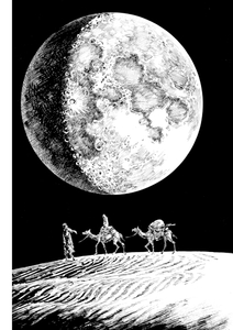 RoBAyYJyvtzLU21QLajn.jpg?w=940&h=940