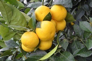 RoRFzTk5O7OySjzIUcY7.jpg?w=940&h=940