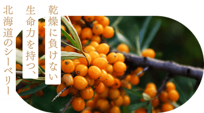 Rp9LJpkgNyRHLFrdO7eQ.png?w=940&h=940