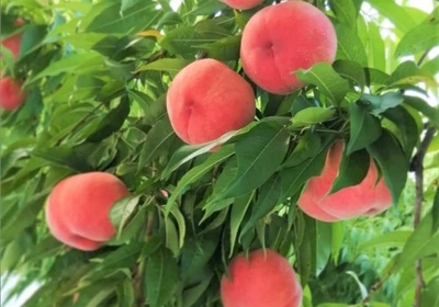 RpVINCNDSZ0PHuvPye3Y.jpg?w=940&h=940