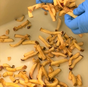 RqZ4QRxgjJ7Zre41p8fE.jpg?w=940&h=940