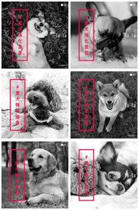 RqhuuDohdkjbx3z4kqES.jpg?w=940&h=940